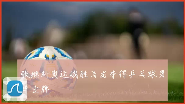 张继科奥运战胜马龙夺得乒乓球男单金牌