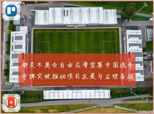 都灵冬奥会自由式滑雪赛中国选手夺牌突破推动项目发展与后续备战