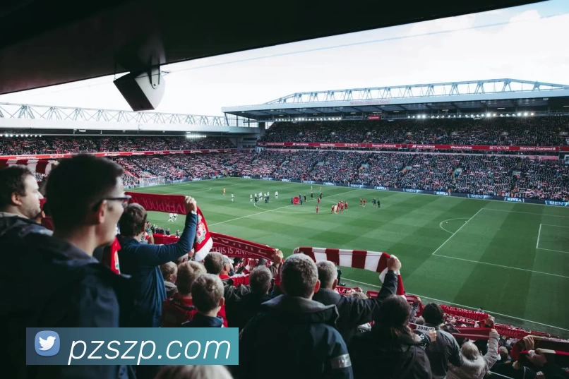 球速体育app官网 - 球速(中国)服务体系